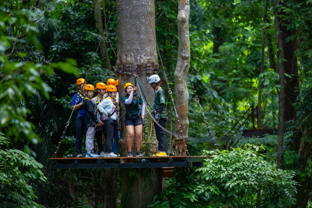 Helmeted visitors standing together on a timber platform among trees