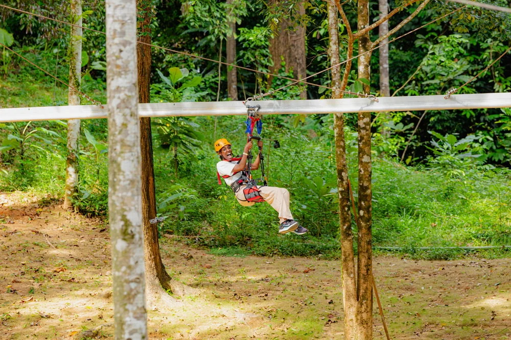 Rider moving beneath an elevated metal track between trees