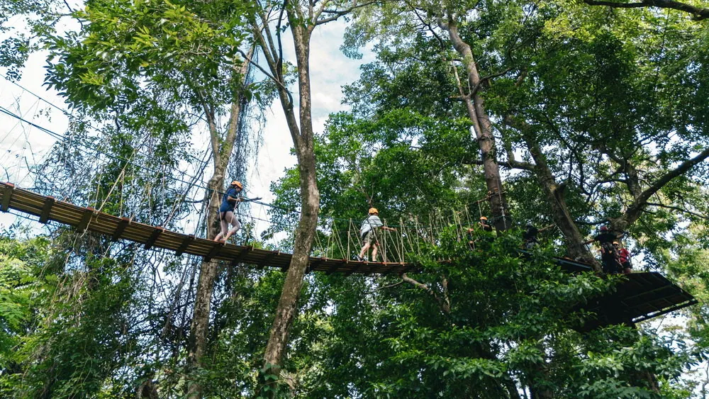 Elevated timber platforms and a bridge among trees at Sky Rock