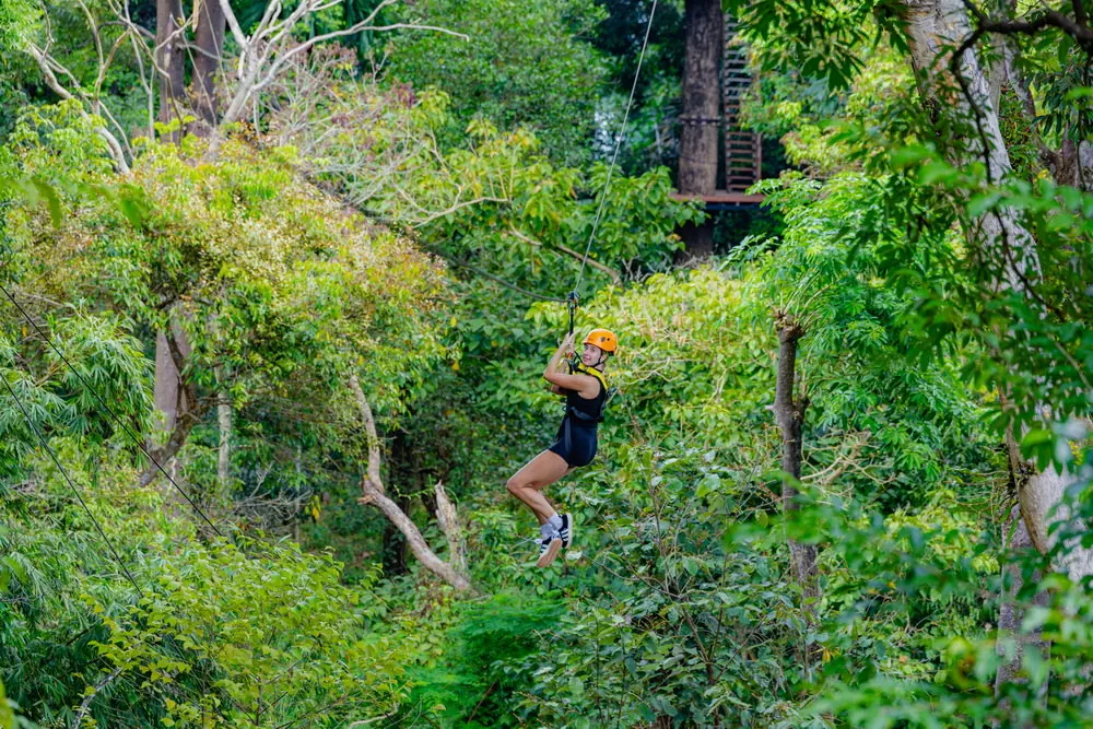 A guest travelling along a zipline above forest greenery