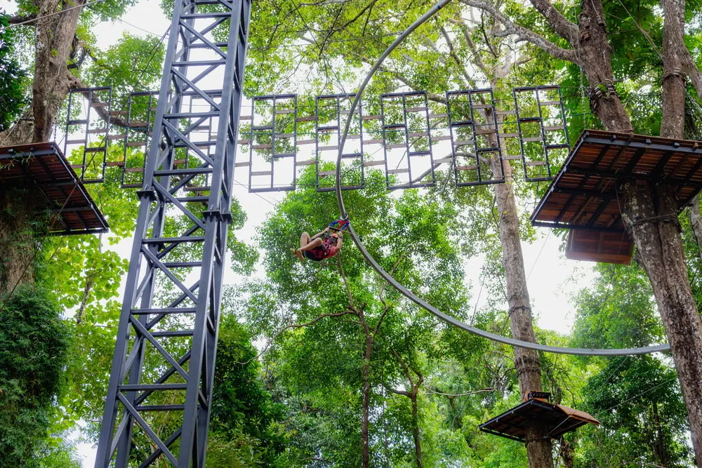 Elevated track curves beside a stair tower among trees