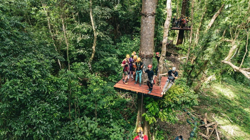 A group of helmeted visitors on an elevated forest platform